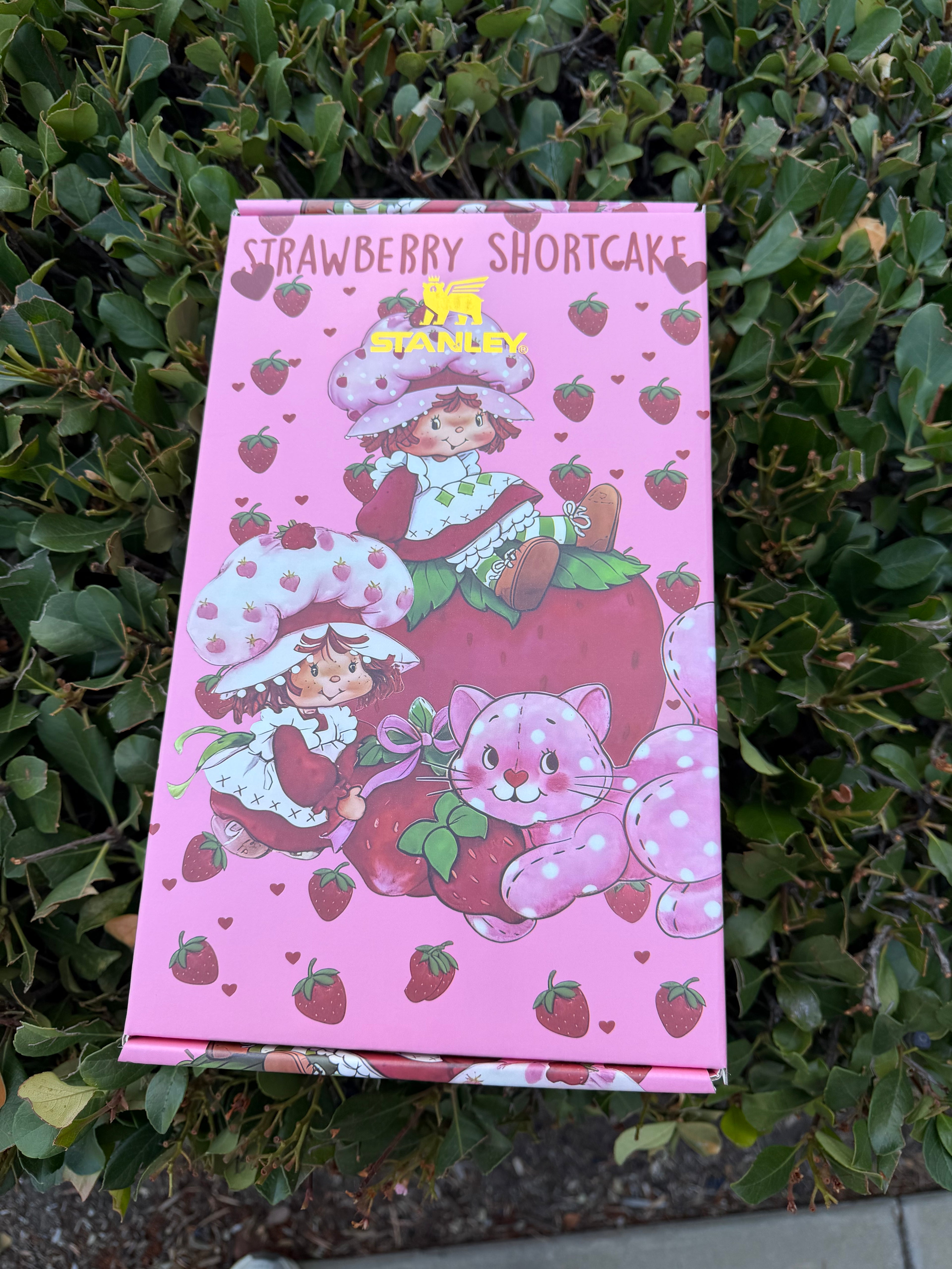 🎁Strawberrycake Design Insulated Cup Gift Box 40 oz Include Straw and Topper